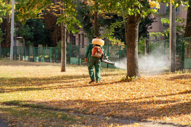 Best Pest Inspection Near Me  in Lake Junaluska, NC