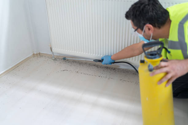 Best Mosquito Control Services  in Lake Junaluska, NC